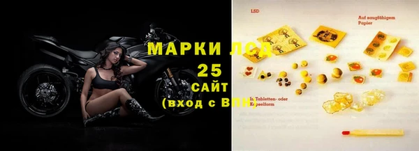 ПСИЛОЦИБИНОВЫЕ ГРИБЫ Абаза