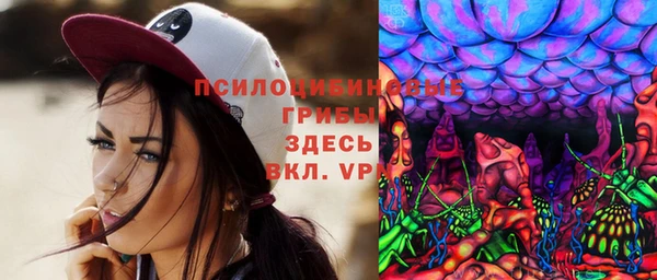 ПСИЛОЦИБИНОВЫЕ ГРИБЫ Абаза