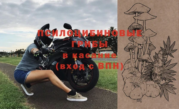 ПСИЛОЦИБИНОВЫЕ ГРИБЫ Абаза