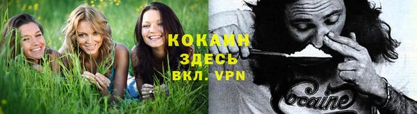 ПСИЛОЦИБИНОВЫЕ ГРИБЫ Абаза