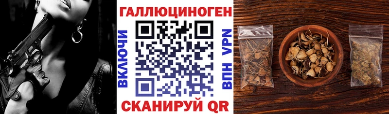 Галлюциногенные грибы Psilocybe  дарнет шоп  Струнино 